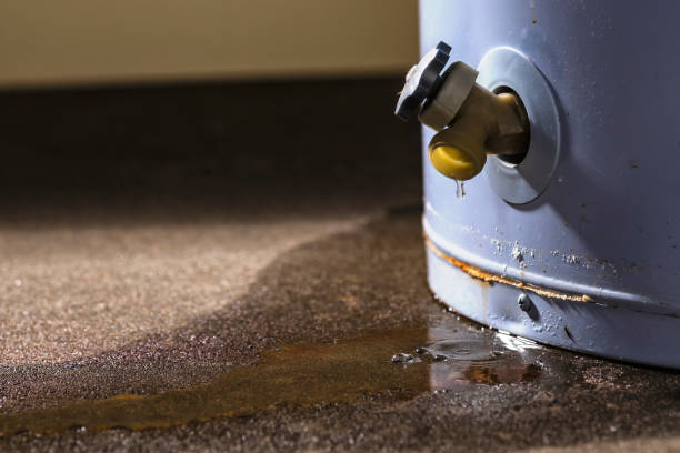 Best Water damage restoration near me  in The Villages, FL