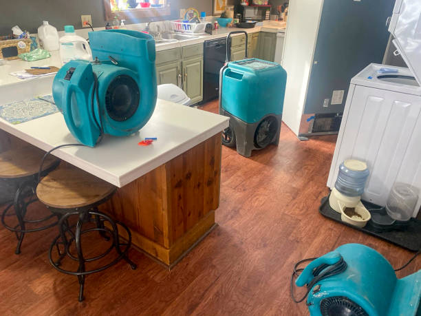 Best Flooded house restoration  in The Villages, FL