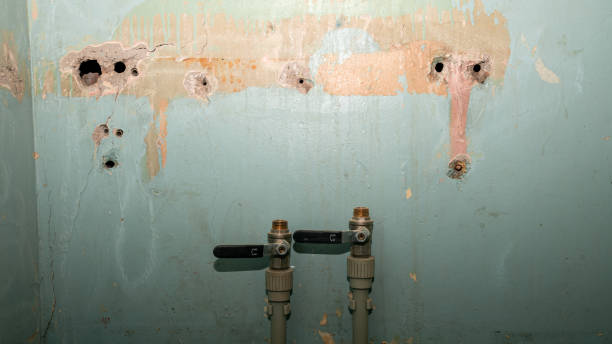 Best 24/7 water damage repair  in The Villages, FL