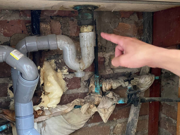 Best Water damage cleanup near me  in The Villages, FL
