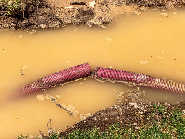 Best Water damage restoration company  in The Villages, FL